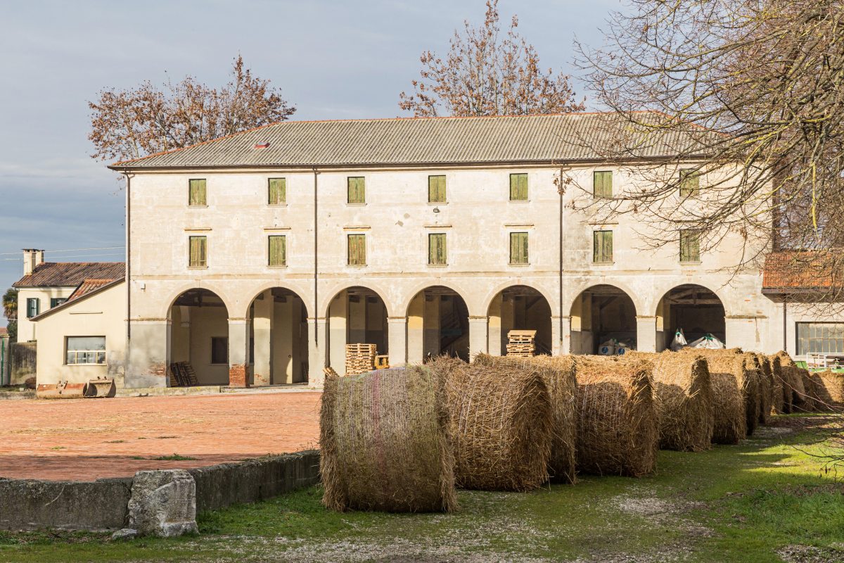 Galleria foto 'Benvenuti a Ca’ Tron, dove si coltiva il futuro' - foto 7