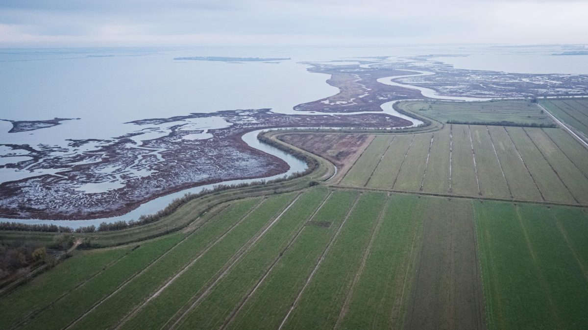 Galleria foto 'Benvenuti a Ca’ Tron, dove si coltiva il futuro' - foto 6