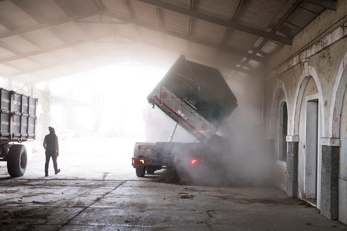 Galleria foto 'Benvenuti a Ca’ Tron, dove si coltiva il futuro' - foto 2
