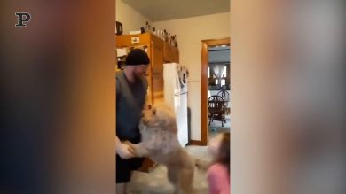 Da bravi fratelli, cane e bimba fanno a turno per giocare con il papà | video