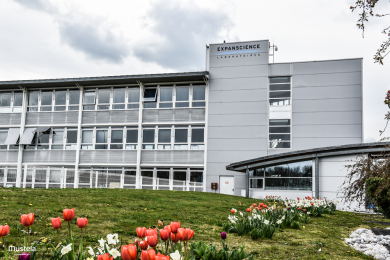 Le B Corp che fanno bene alla comunità nell’anno della Pandemia