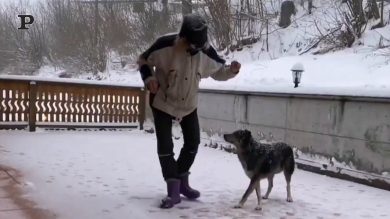 Un balletto improvvisato tra un cane e il suo padrone