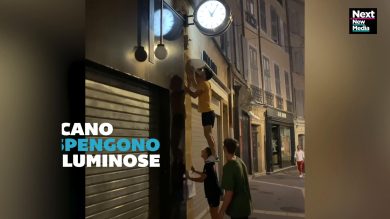 Quando il parkour è green