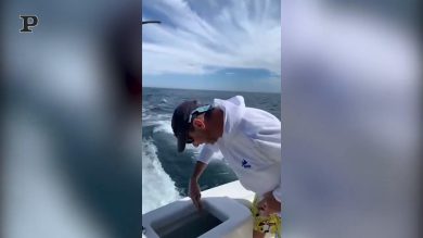 Gentile pescatore sfama i suoi amici animali | video