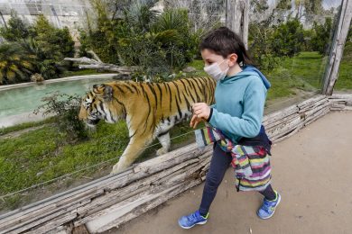 Impariamo dagli animali il distanziamento sociale anti-Covid
