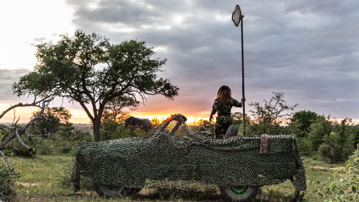Galleria foto 'Un sito trasforma i visitatori in ranger per difendere gli animali dal bracconaggio' - foto 15