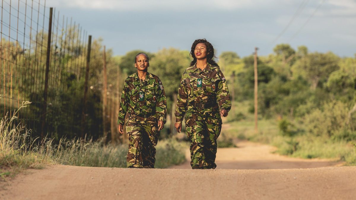 Galleria foto 'Un sito trasforma i visitatori in ranger per difendere gli animali dal bracconaggio' - foto 12