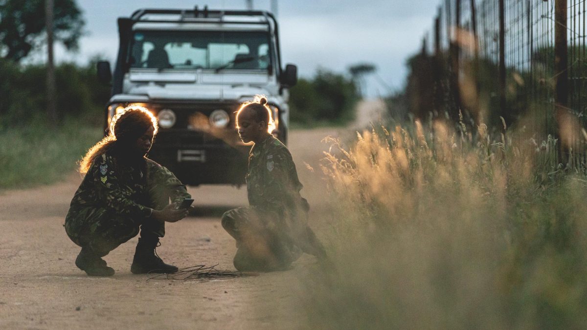 Galleria foto 'Un sito trasforma i visitatori in ranger per difendere gli animali dal bracconaggio' - foto 11