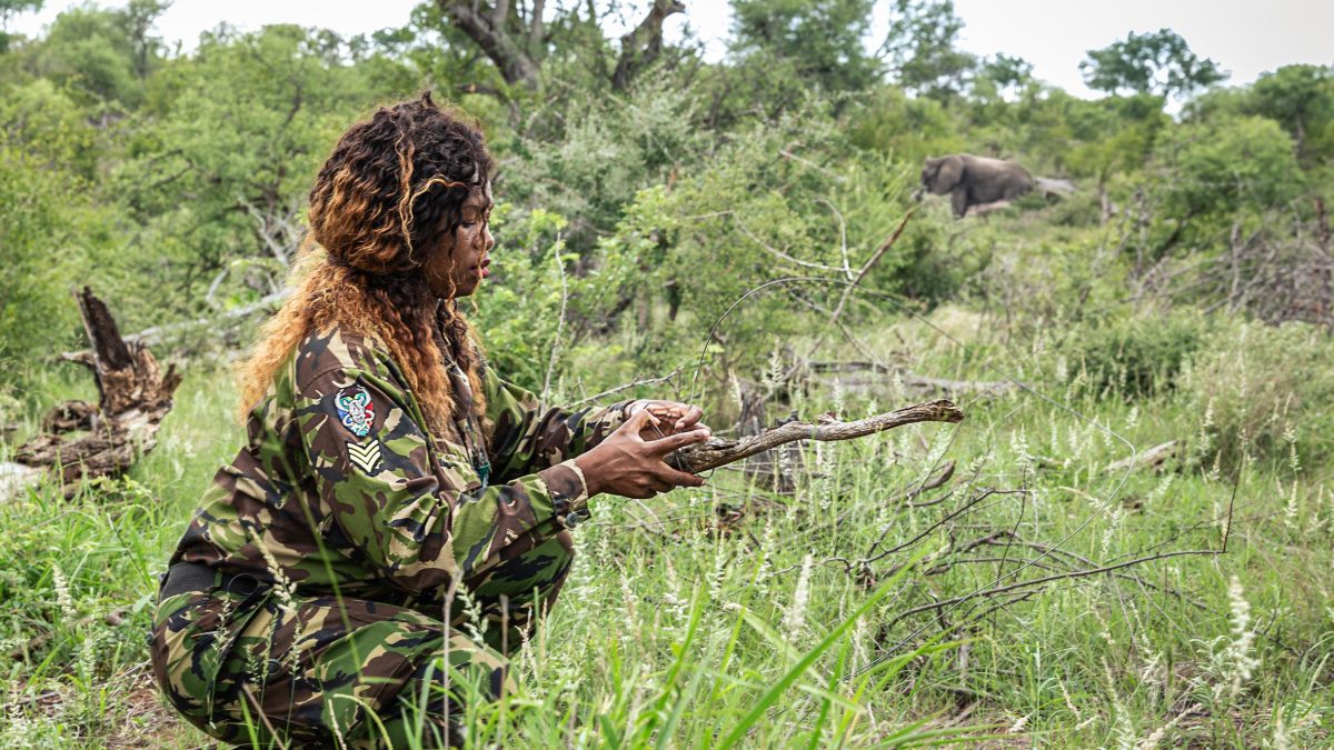 Galleria foto 'Un sito trasforma i visitatori in ranger per difendere gli animali dal bracconaggio' - foto 10