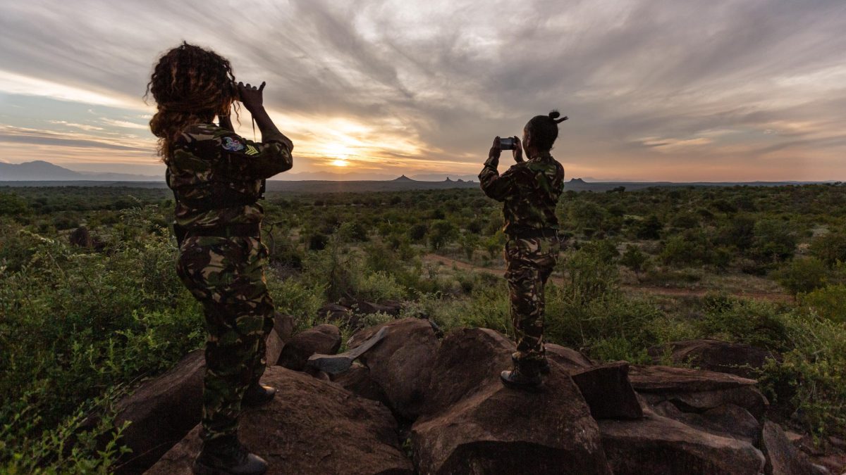 Galleria foto 'Un sito trasforma i visitatori in ranger per difendere gli animali dal bracconaggio' - foto 7