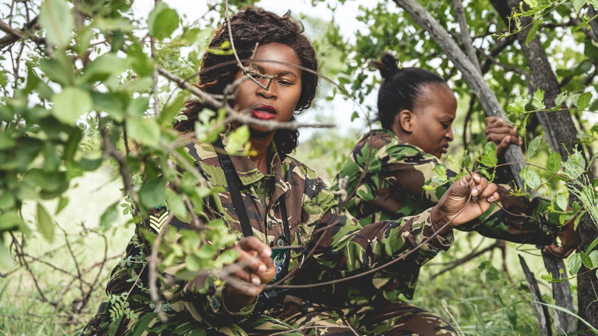 Galleria foto 'Un sito trasforma i visitatori in ranger per difendere gli animali dal bracconaggio' - foto 4