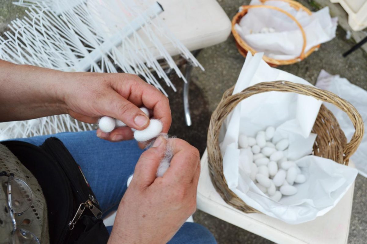 Galleria foto '«Torniamo a fare la seta italiana in Italia»' - foto 7