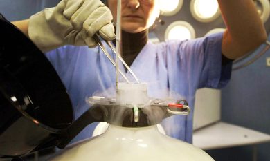 Gli embrioni e l’inno alla vita