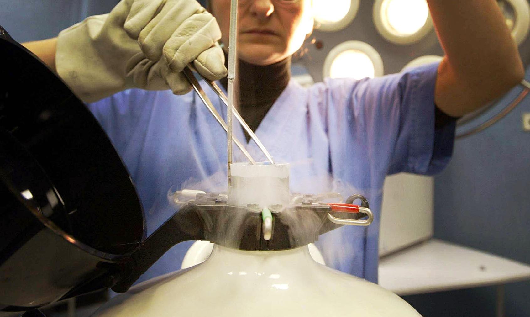 Gli embrioni e l’inno alla vita