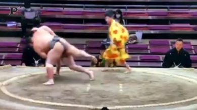 Giappone, muore lottatore di Sumo: polemiche per il ritardo dei soccorsi | video