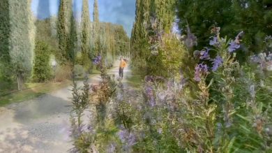 Il Cicalino, un gioiello tra terra e mare