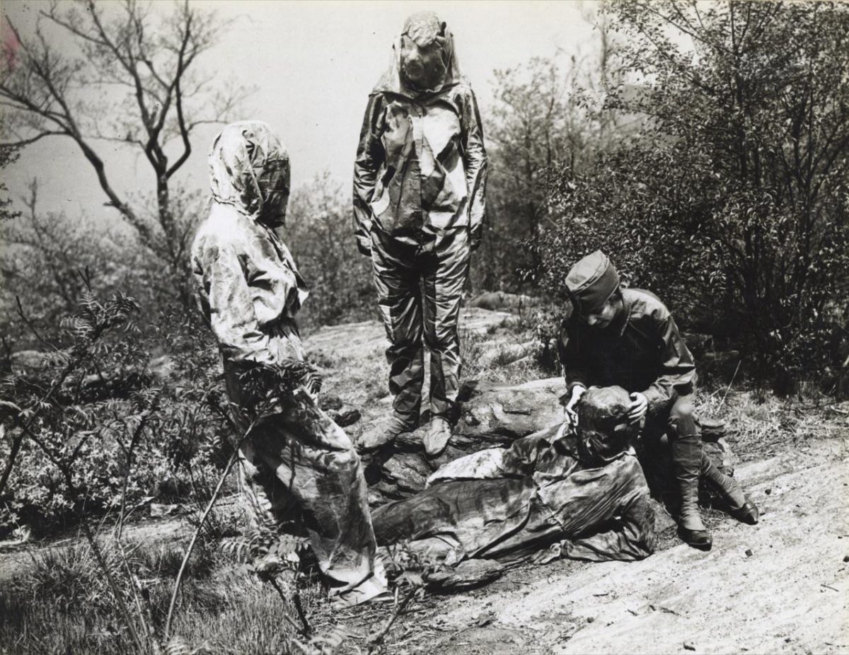 Galleria foto 'Donne artiste della mimetizzazione nella Grande Guerra' - foto 12