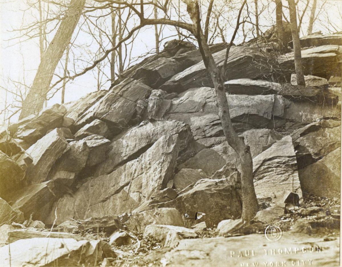 Galleria foto 'Donne artiste della mimetizzazione nella Grande Guerra' - foto 13