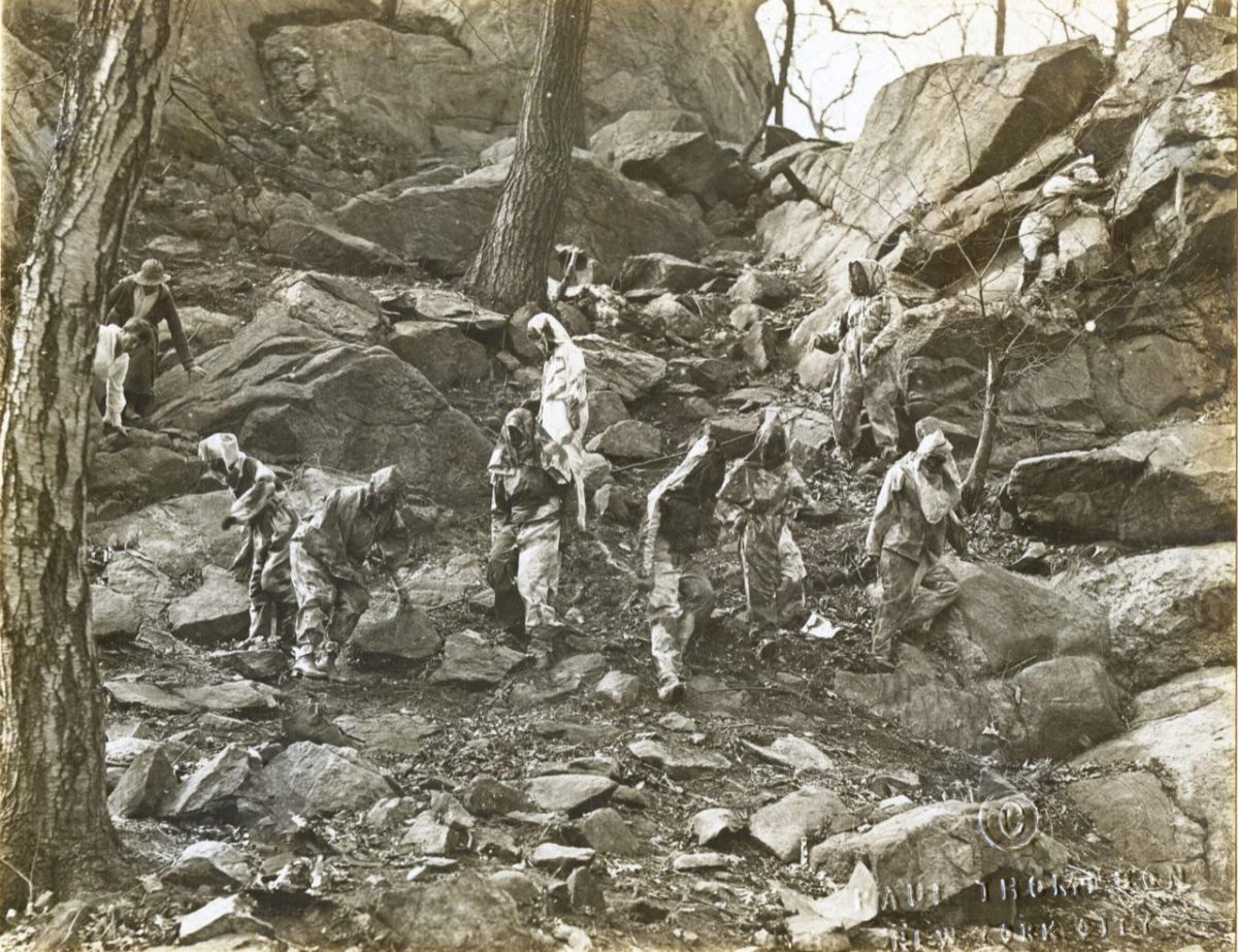 Galleria foto 'Donne artiste della mimetizzazione nella Grande Guerra' - foto 14