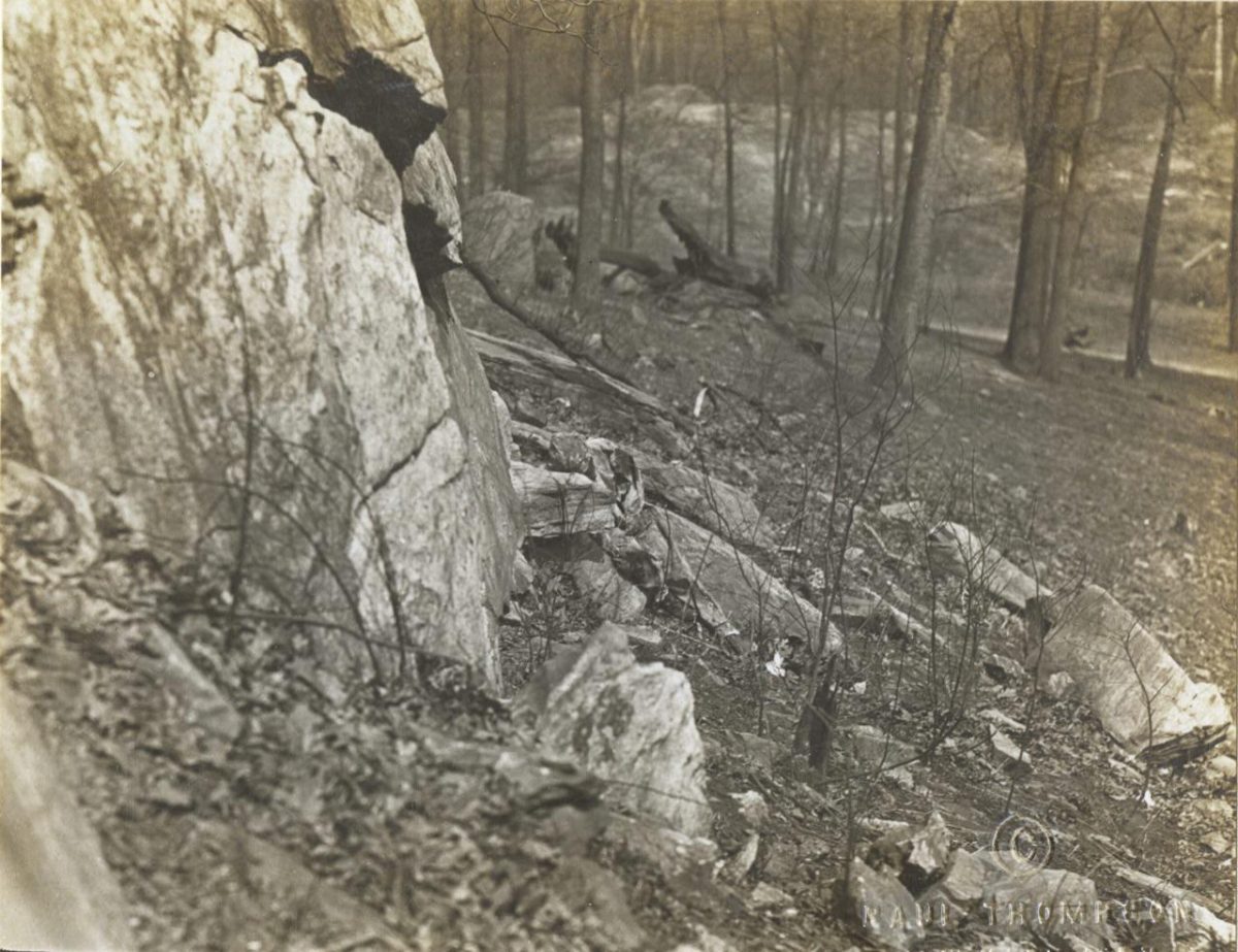 Galleria foto 'Donne artiste della mimetizzazione nella Grande Guerra' - foto 19