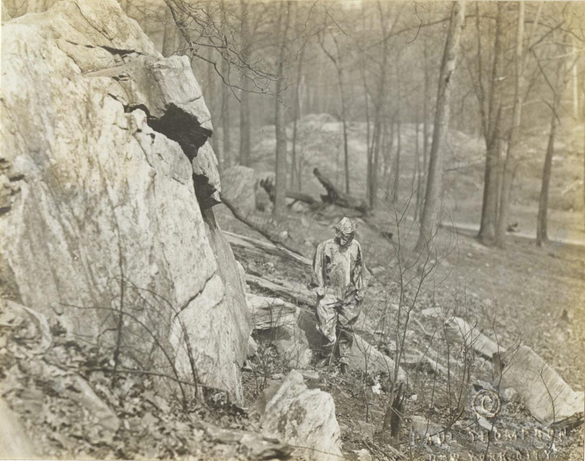 Galleria foto 'Donne artiste della mimetizzazione nella Grande Guerra' - foto 11