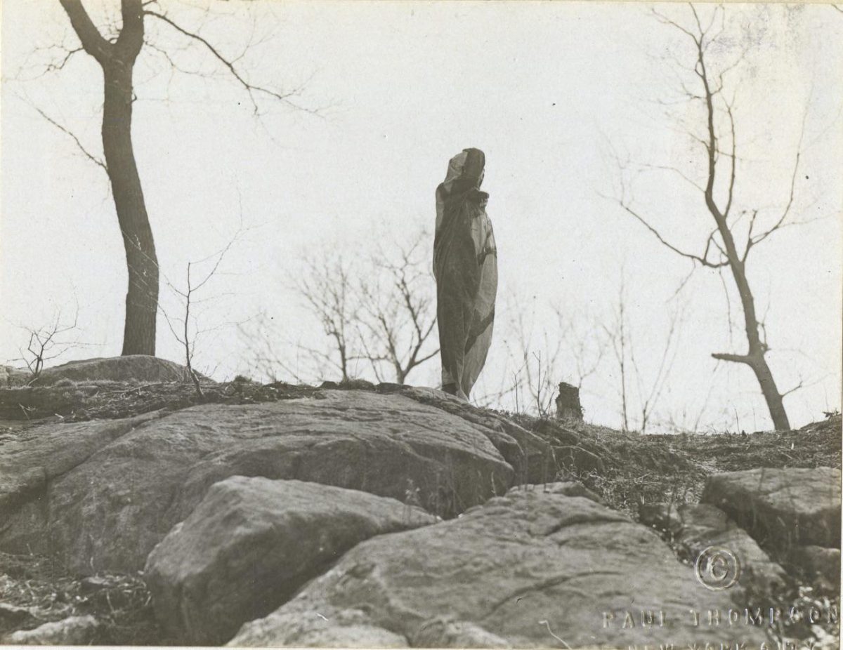 Galleria foto 'Donne artiste della mimetizzazione nella Grande Guerra' - foto 10