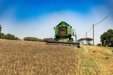 Il modello green e sostenibile di Peroni