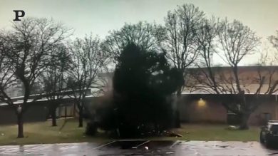 Usa, fulmine colpisce un albero e lo distrugge | video