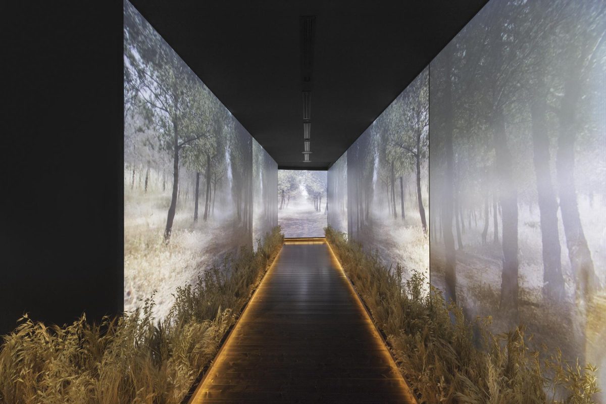 Galleria foto 'Gucci Garden Archetypes. Un’esperienza immersiva per celebrare i 100 della maison' - foto 12