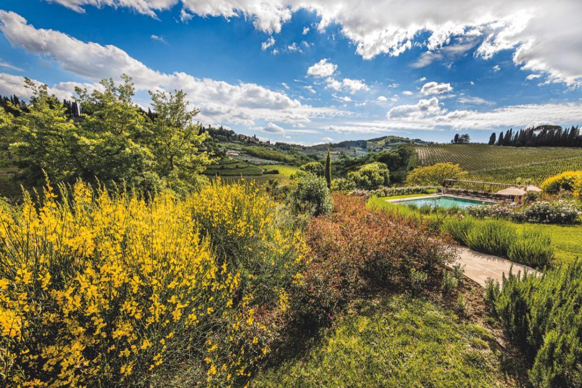 Galleria foto 'Sognando l’Eden​' - foto 9