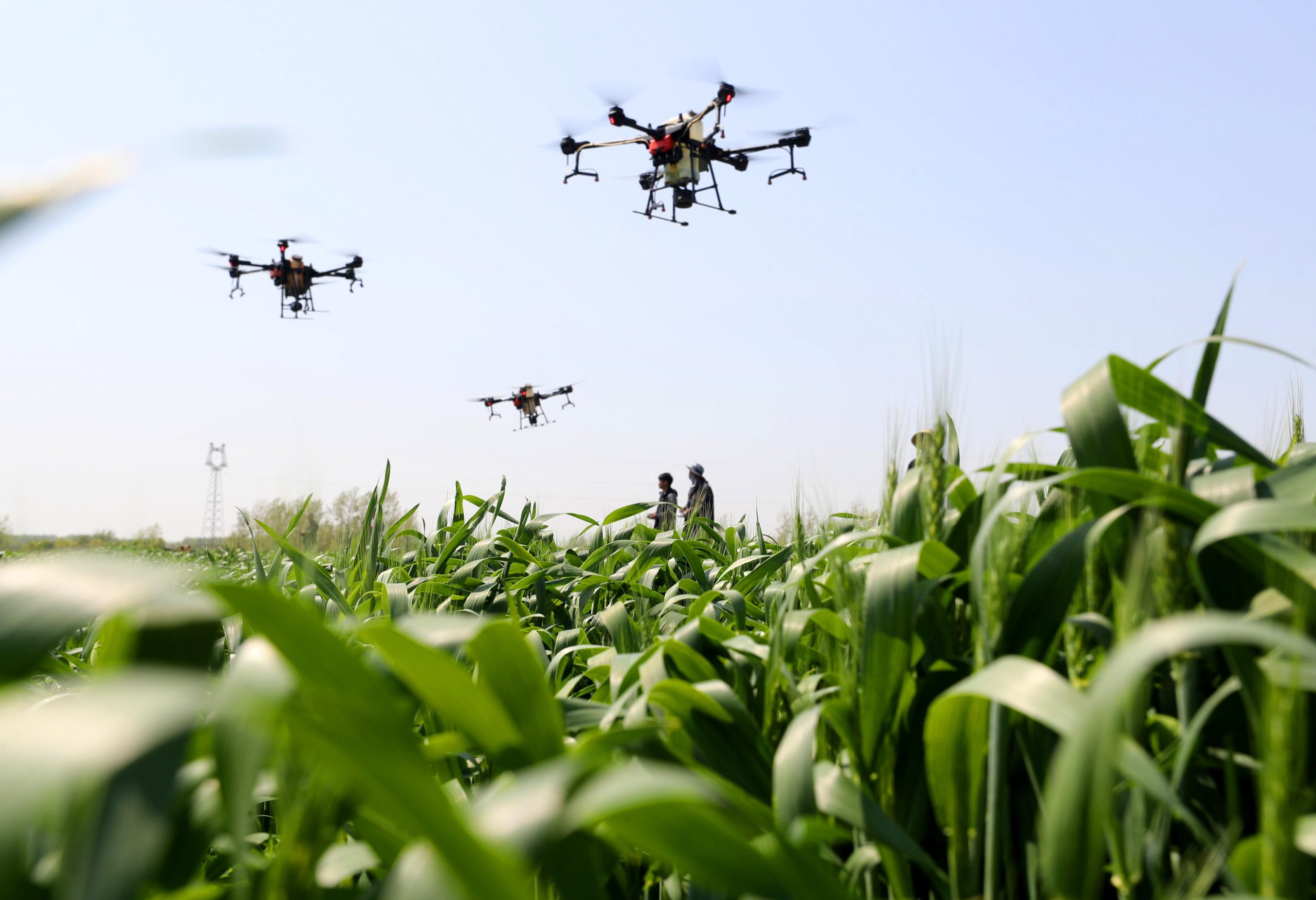 La tecnoagricoltura, nuova frontiera del cibo