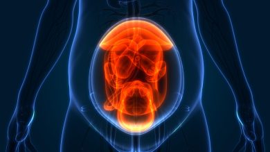 Nascere senza bisogno di una madre