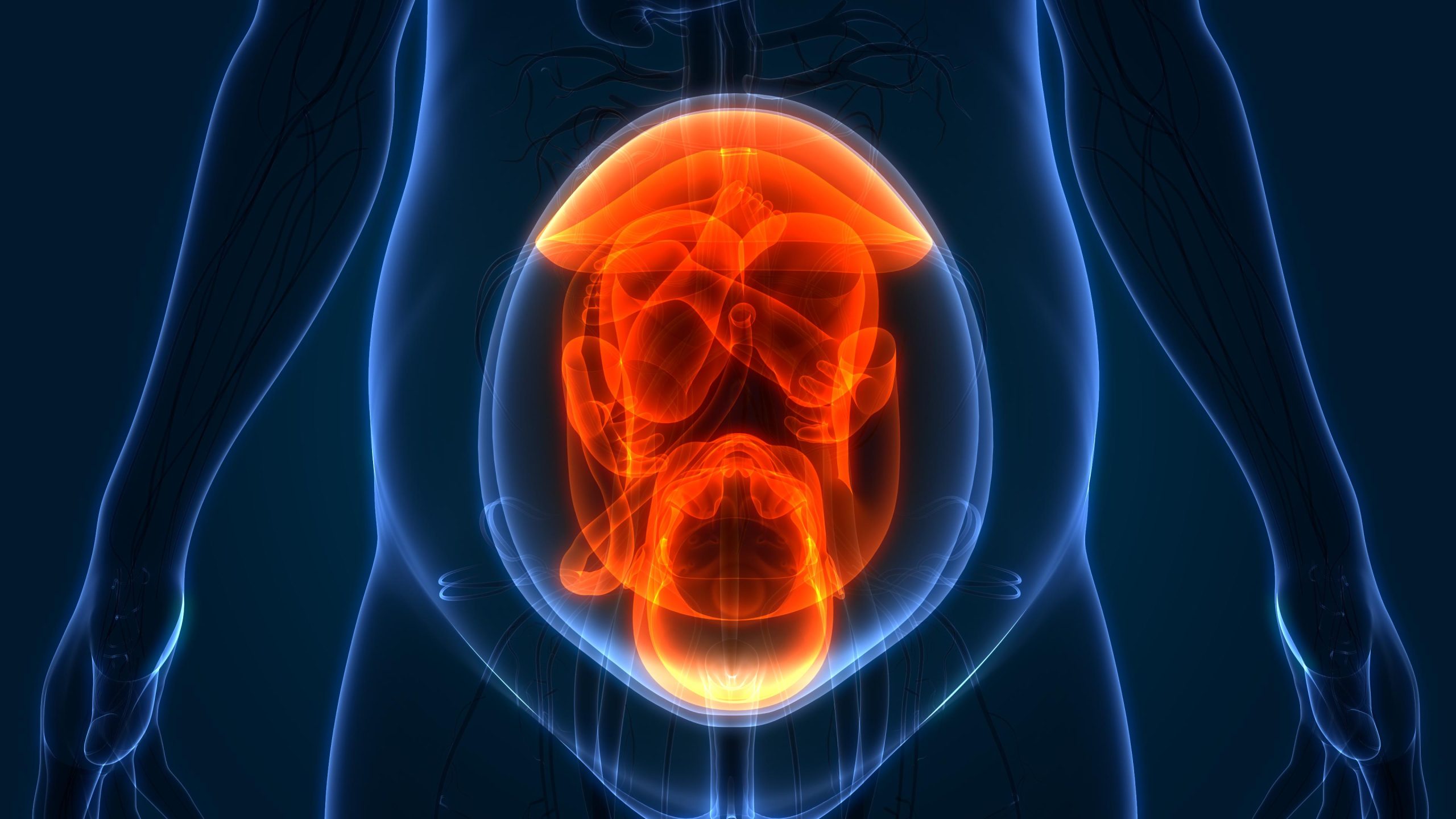 Nascere senza bisogno di una madre