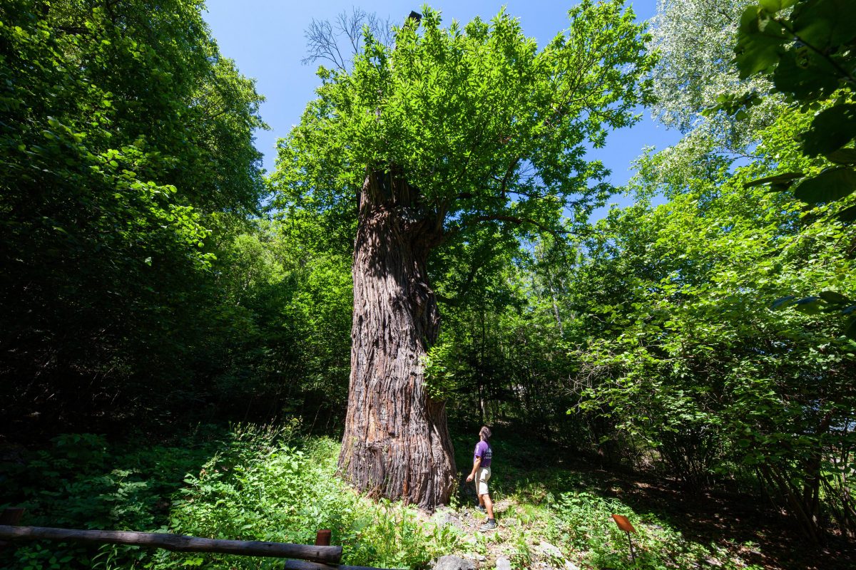 Galleria foto 'Sempre più italiani scelgono la vacanza sportiva' - foto 22