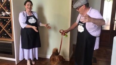 Le pillole di galateo di Petra e Carlo: l’etichetta per i cani