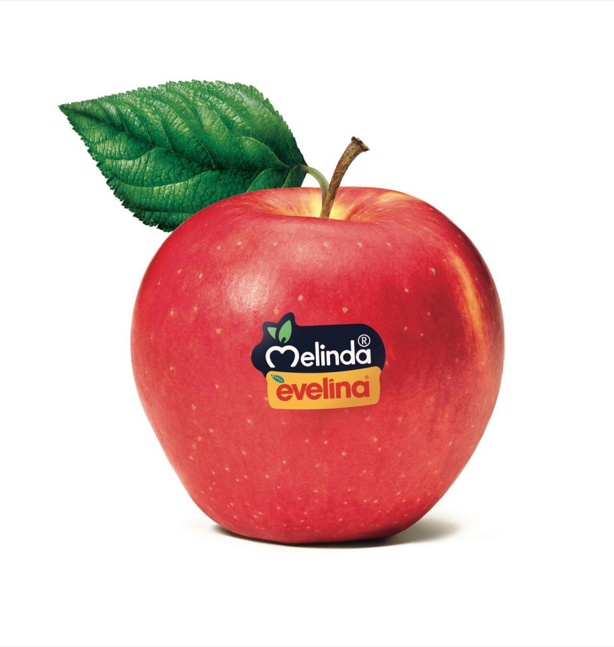 Galleria foto 'Il succo della vita' - foto 3