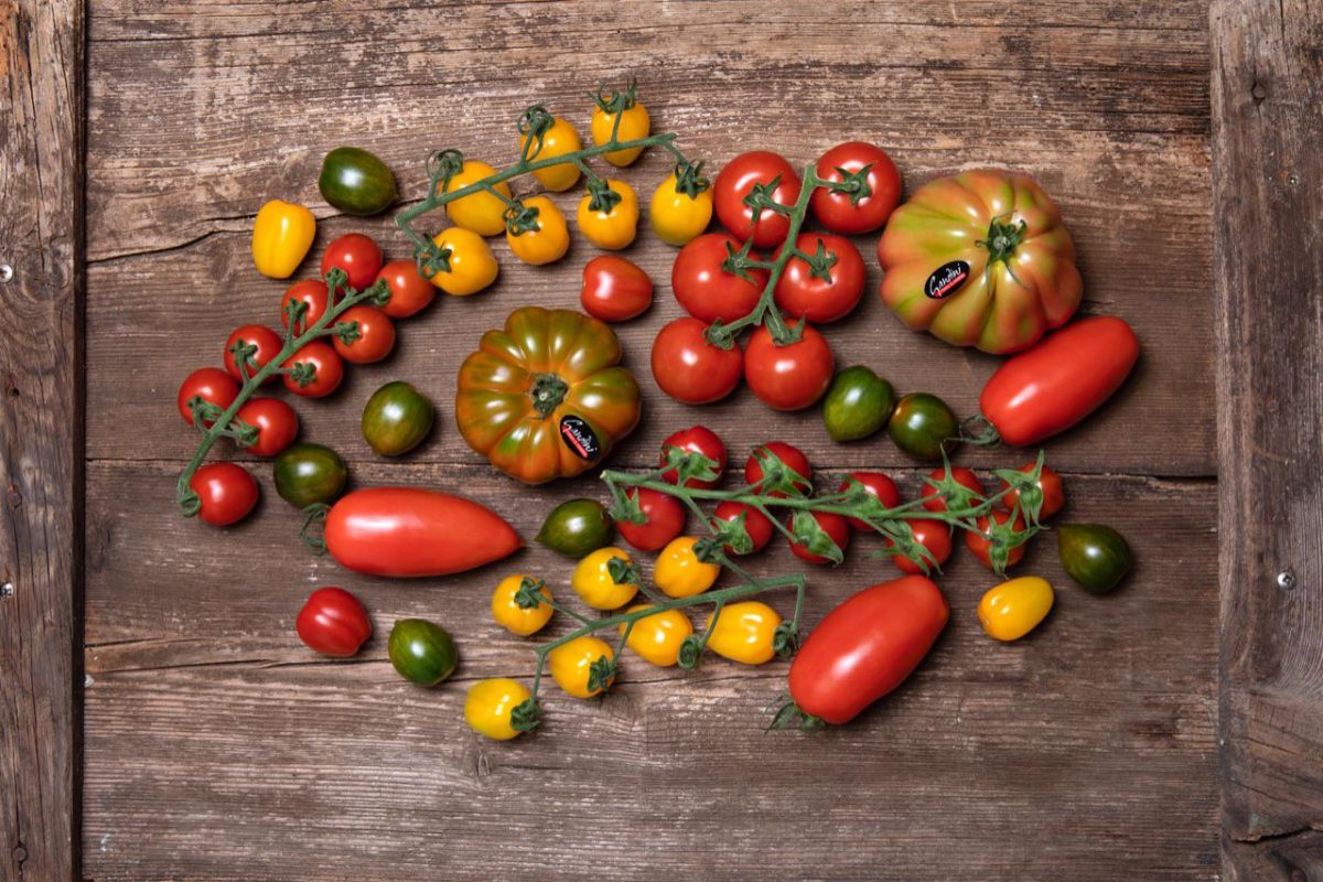 Galleria foto 'Il succo della vita' - foto 7