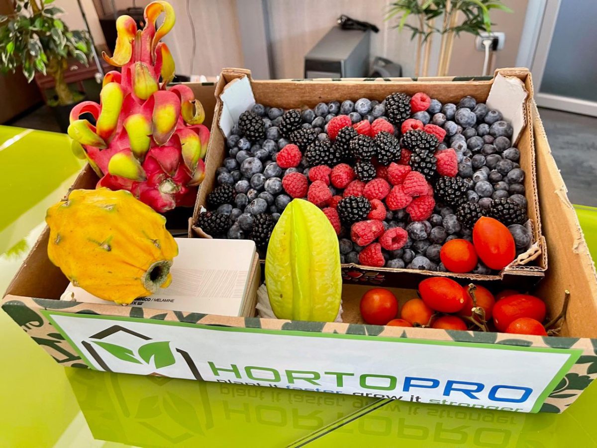 Galleria foto 'Il succo della vita' - foto 8