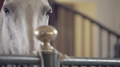 Stella Manente lancia Stm Hats. Una linea di cappelli ispirati al gioco del Polo