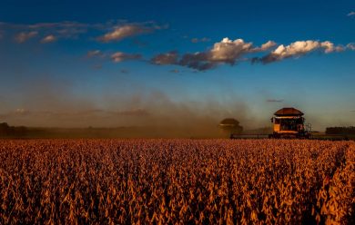 Perché il made in Italy a tavola non piace alle multinazionali