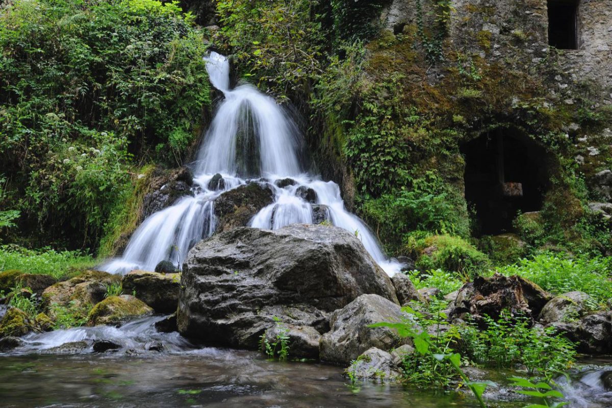 Galleria foto '«I segreti del metodo Cilento, che fa campare 100 anni»' - foto 2