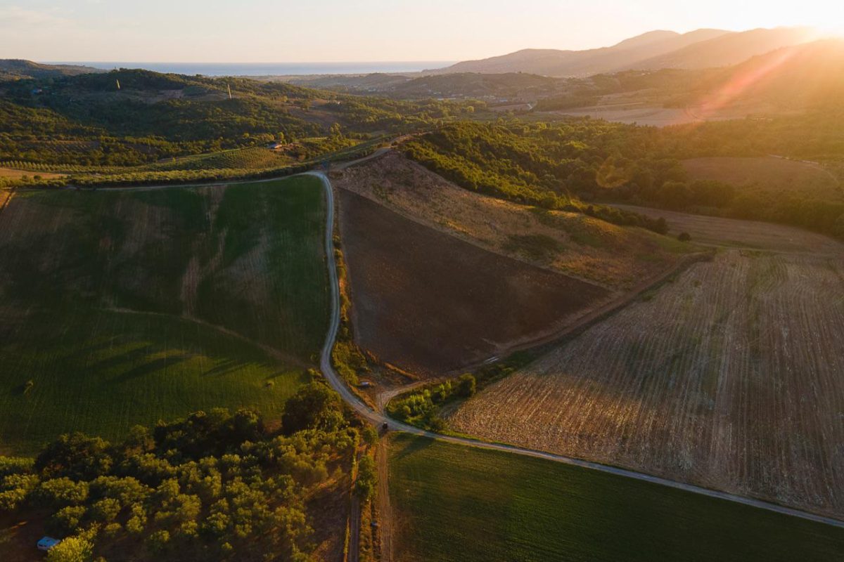 Galleria foto '«I segreti del metodo Cilento, che fa campare 100 anni»' - foto 4