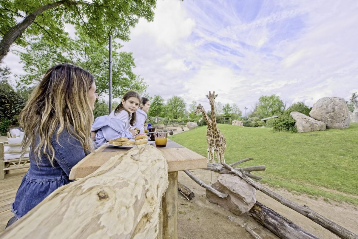Galleria foto 'Glamping in tenda sì, ma a cinque stelle' - foto 30
