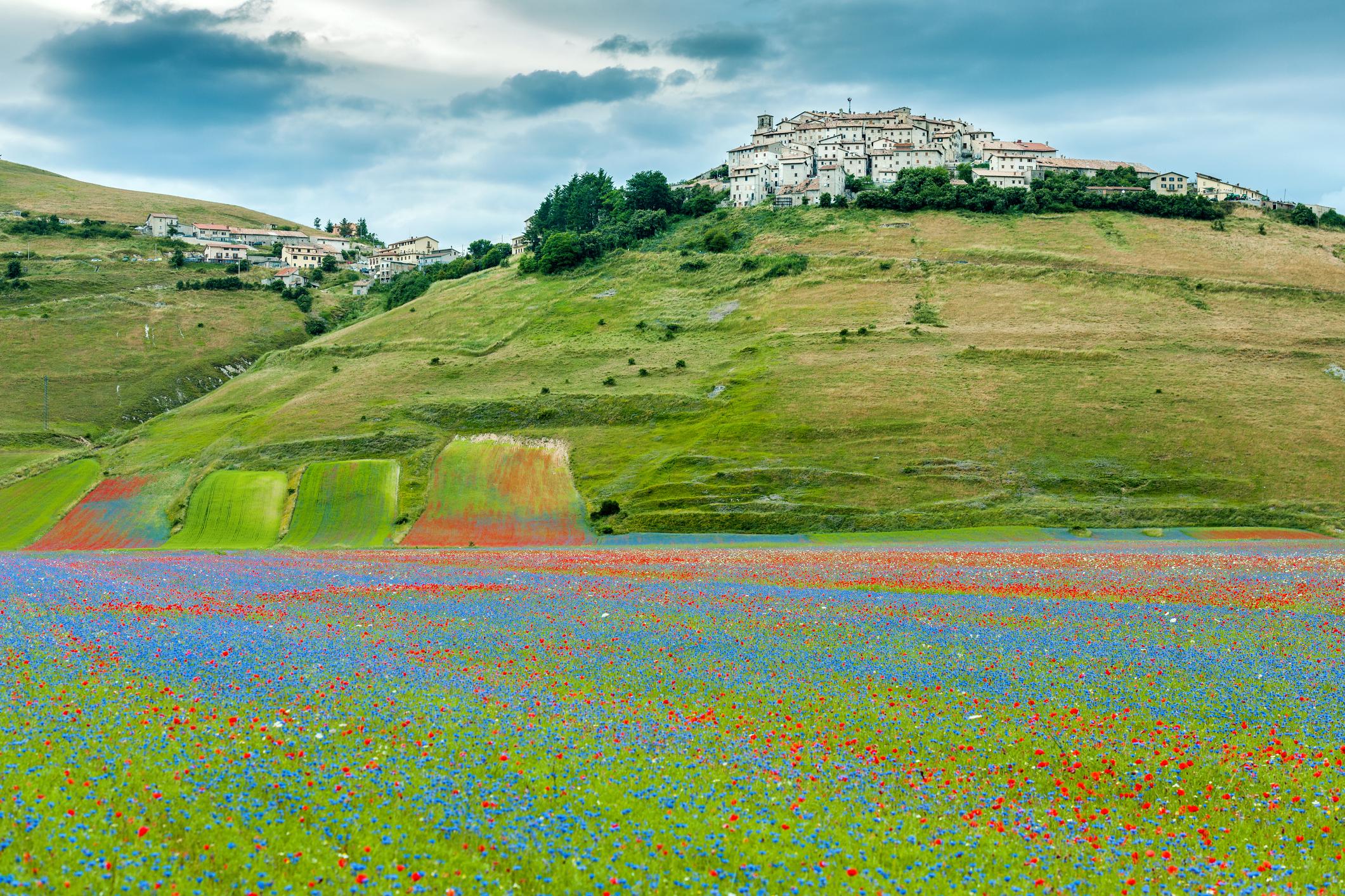 In difesa del paesaggio italiano