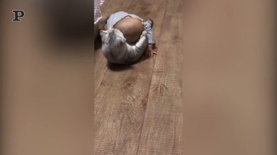 Gatto abbraccia il suo tenero padroncino | video