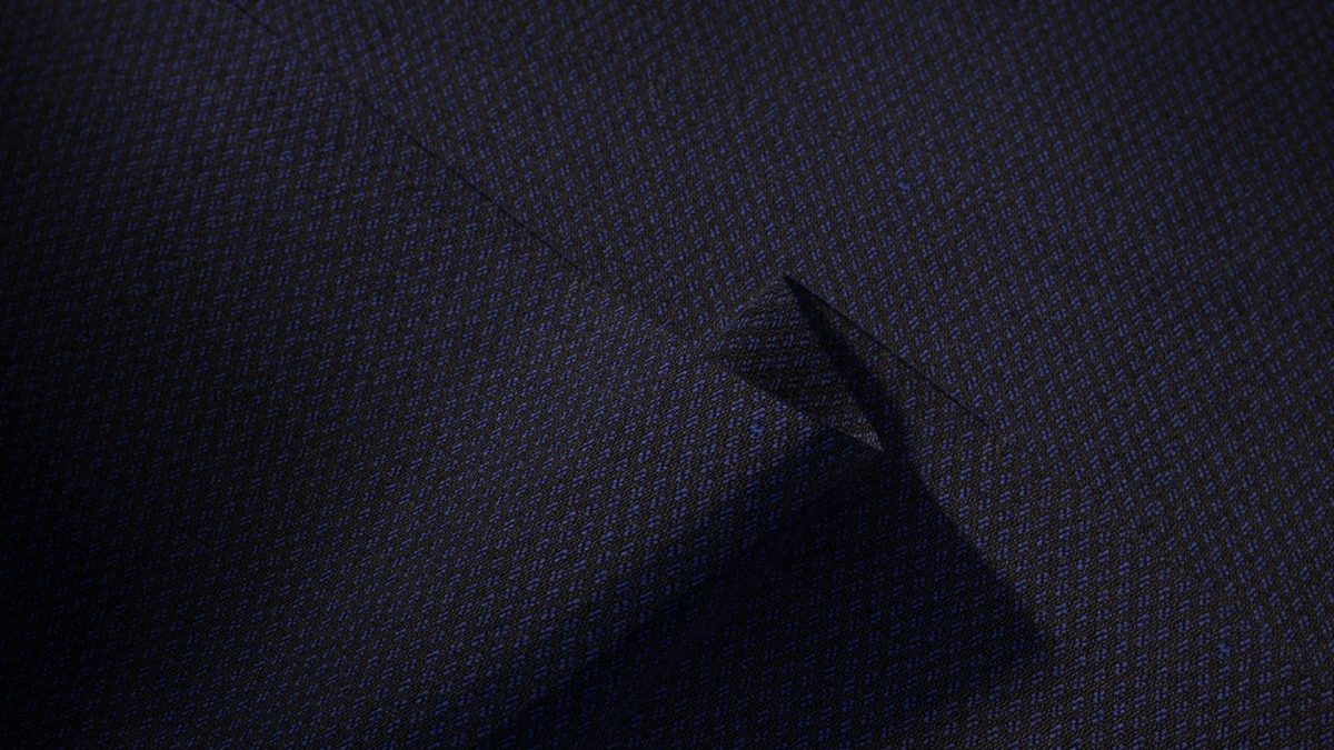 Galleria foto 'Metamorfosi genetica per i tessuti di abiti-design tecnologici e sostenibili' - foto 5