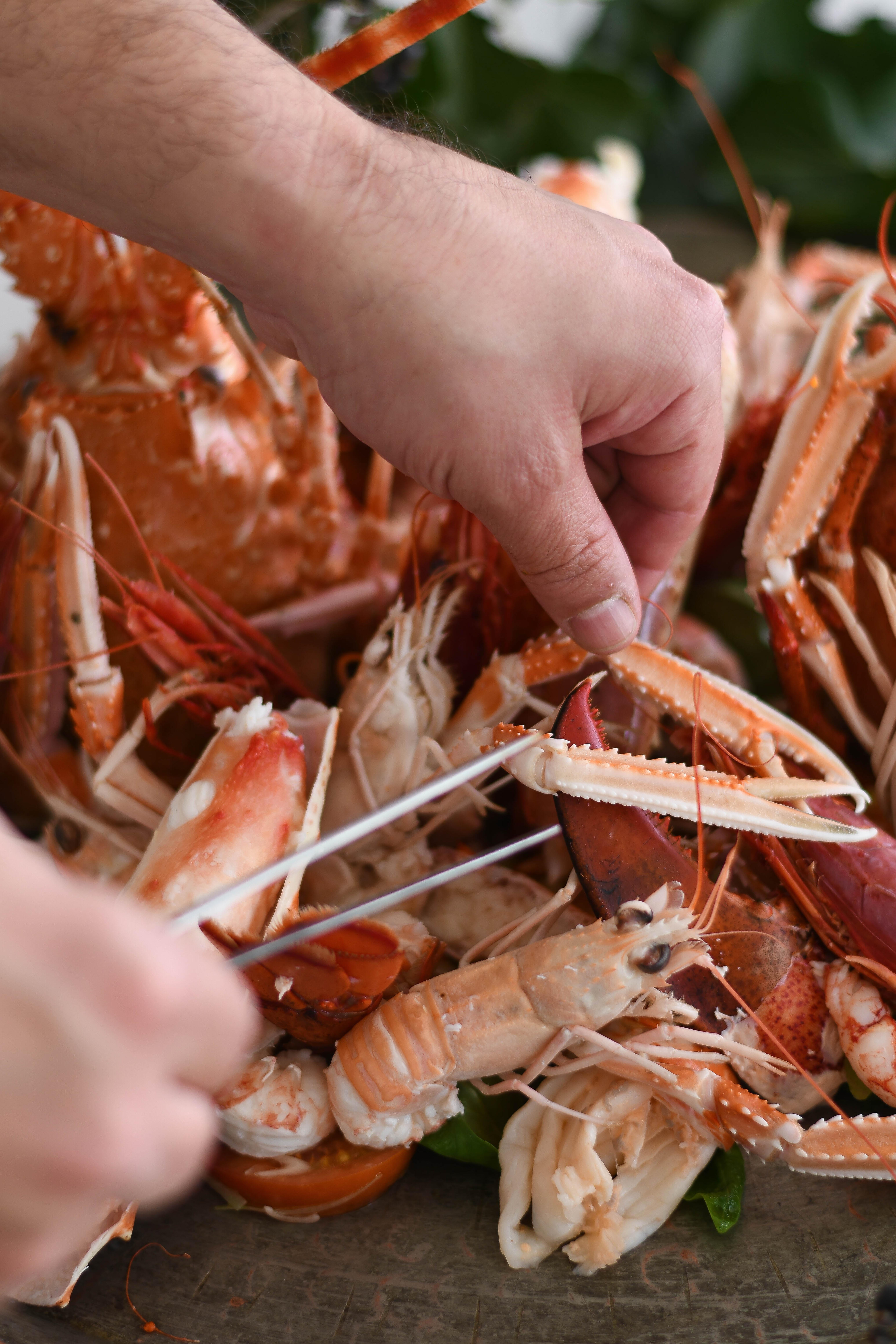 Portofino è diventata gourmet. Finalmente Portofino è diventata gourmet. Finalmente