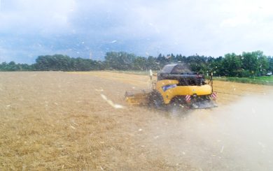 La Pac? Un pacco per l’Italia