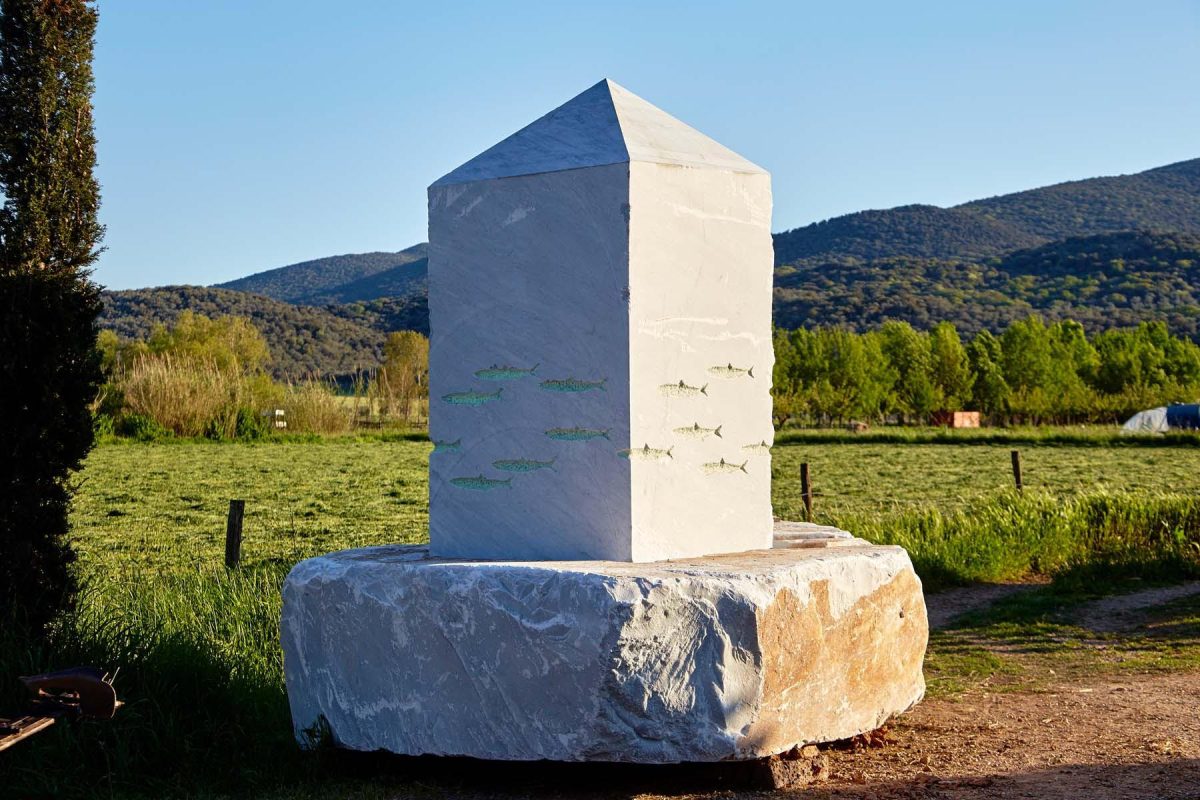 Galleria foto 'La pesca a strascico, oltre a essere un crimine, inquina più del traffico' - foto 3