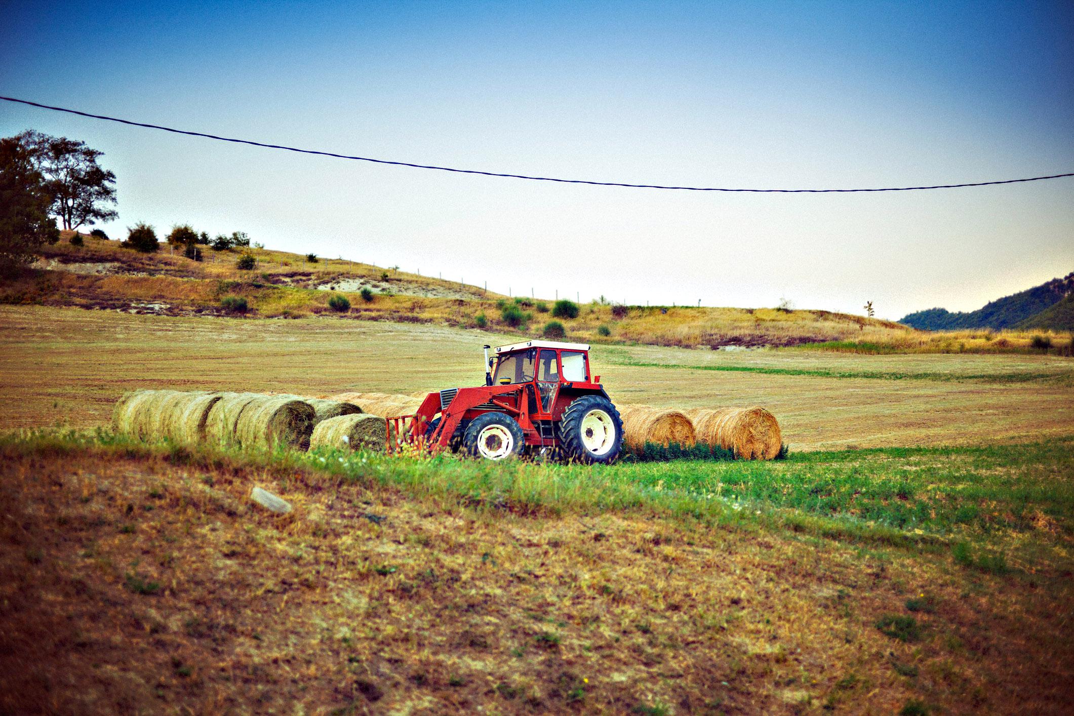 La guerra scientifica contro il biodinamico